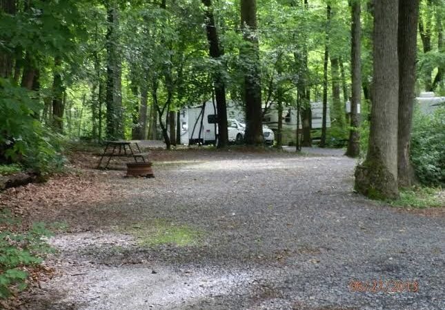 Colonial Woods Family Camping Resort - Upper Black Eddy, PA