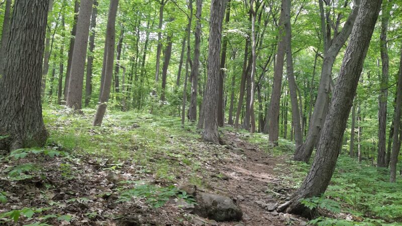 D&L Trail Ringing Rocks Trailhead - Upper Black Eddy, PA