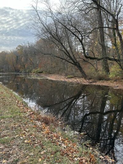 Delaware Canal State Park - Upper Black Eddy, PA