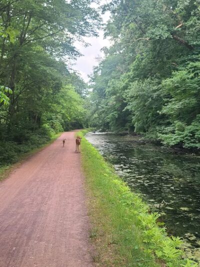 Delaware Canal State Park - Upper Black Eddy, PA