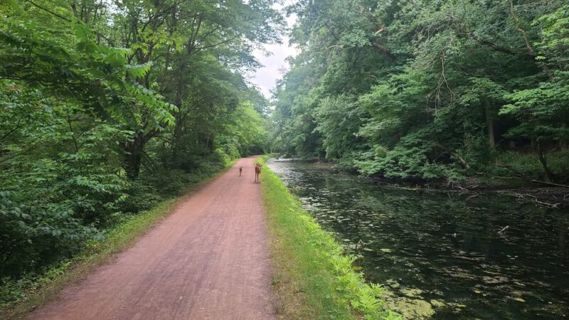 Delaware Canal State Park - Upper Black Eddy, PA