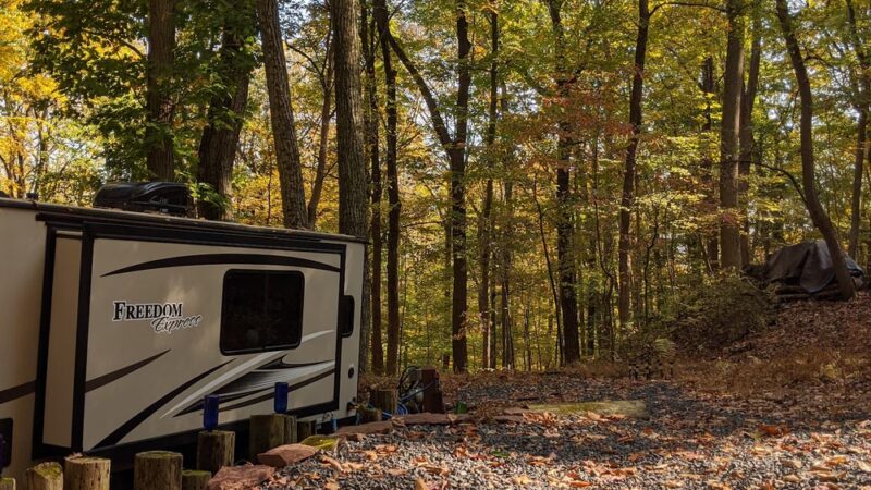 Dogwood Haven Family Campground - Upper Black Eddy, PA