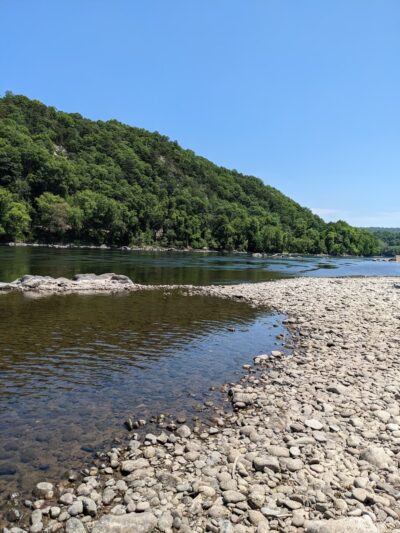 Dogwood Haven Family Campground - Upper Black Eddy, PA