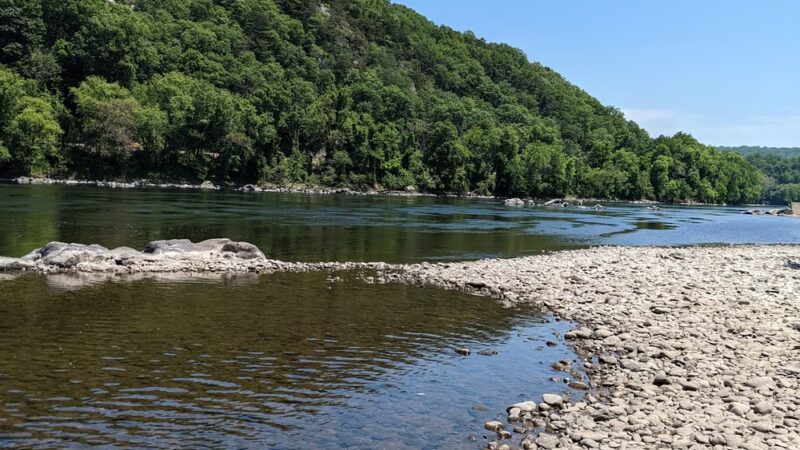 Dogwood Haven Family Campground - Upper Black Eddy, PA