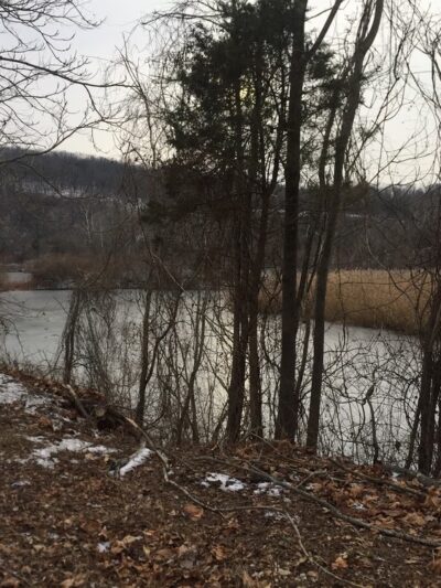 Giving Pond - Upper Black Eddy, PA