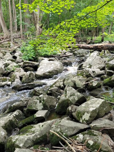 Ringing Rocks County Park - Upper Black Eddy, PA