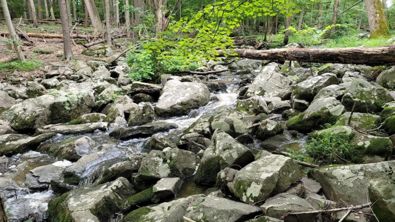 Ringing Rocks County Park - Upper Black Eddy, PA