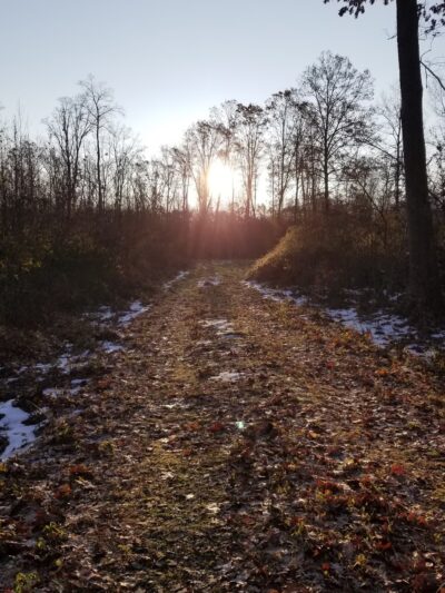 State Game Lands 56 - Upper Black Eddy, PA