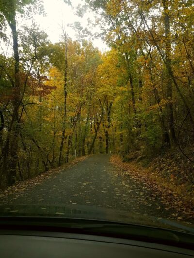 State Game Lands 56 - Upper Black Eddy, PA