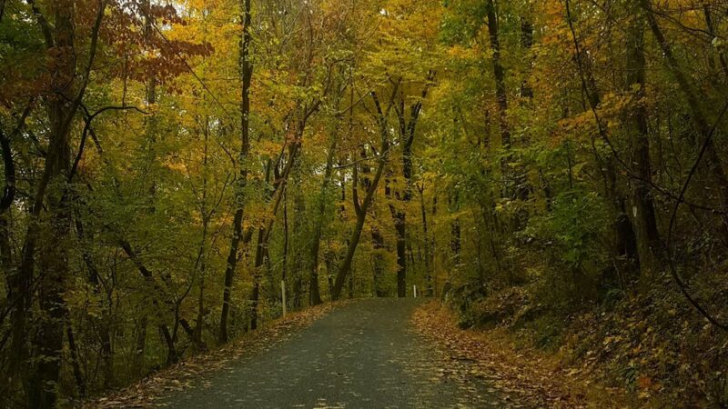 State Game Lands 56 - Upper Black Eddy, PA