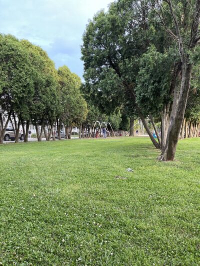 Cardington Recreation Area Park - Upper Darby Township, PA