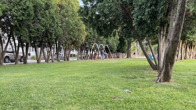 Cardington Recreation Area Park - Upper Darby Township, PA