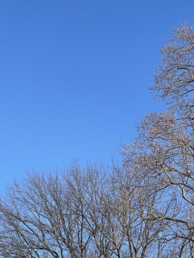 Cardington Recreation Area Park - Upper Darby Township, PA