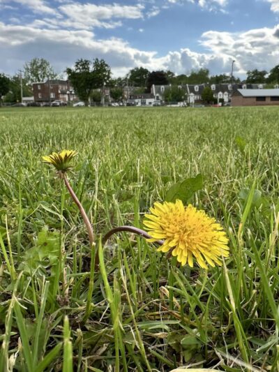 69th Street Recreation Area - Upper Darby Township, PA