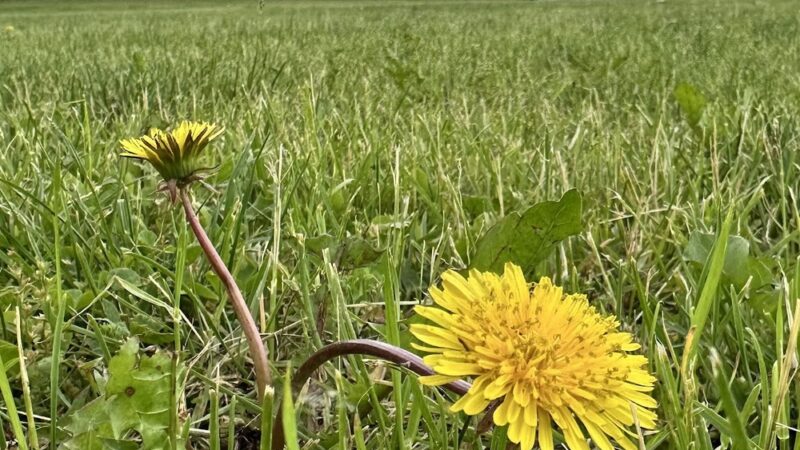 69th Street Recreation Area - Upper Darby Township, PA