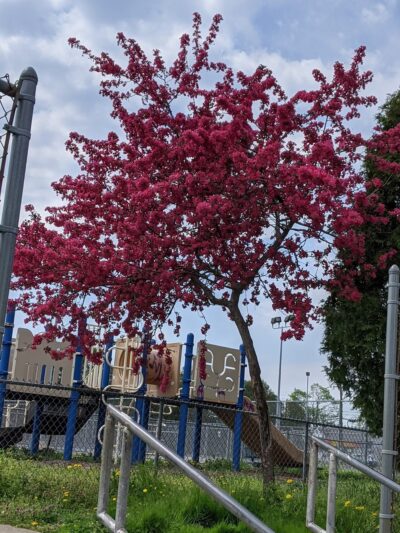 Observatory Hill Recreation Area Park - Upper Darby Township, PA