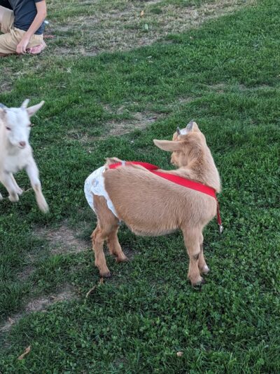 Observatory Hill Recreation Area Park - Upper Darby Township, PA