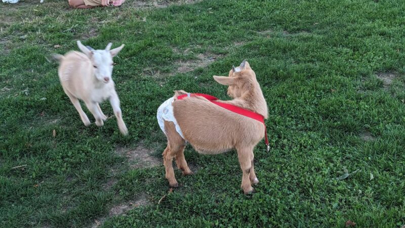 Observatory Hill Recreation Area Park - Upper Darby Township, PA