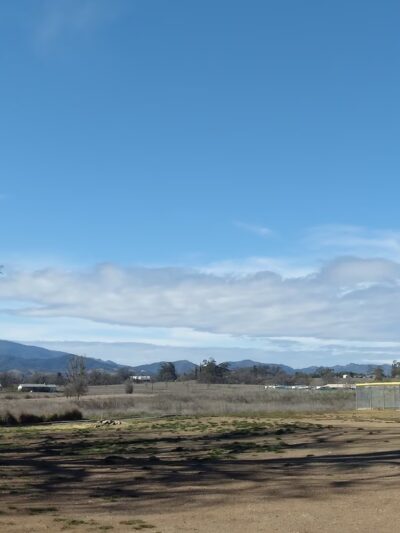 Hammond Ave Park | Lake County Parks - Upper Lake, CA