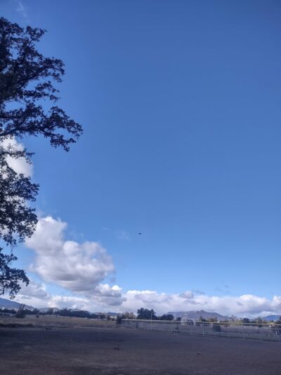 Hammond Ave Park | Lake County Parks - Upper Lake, CA