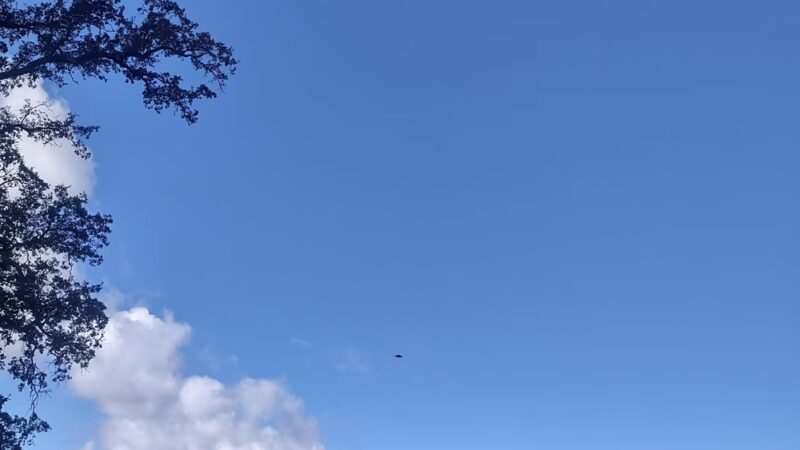 Hammond Ave Park | Lake County Parks - Upper Lake, CA