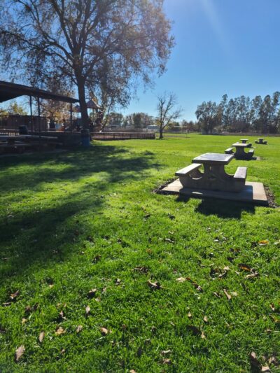 Upper Lake Park | Lake County Parks - Upper Lake, CA