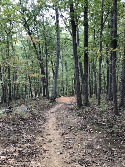 Lost Mountain - Upperville, VA