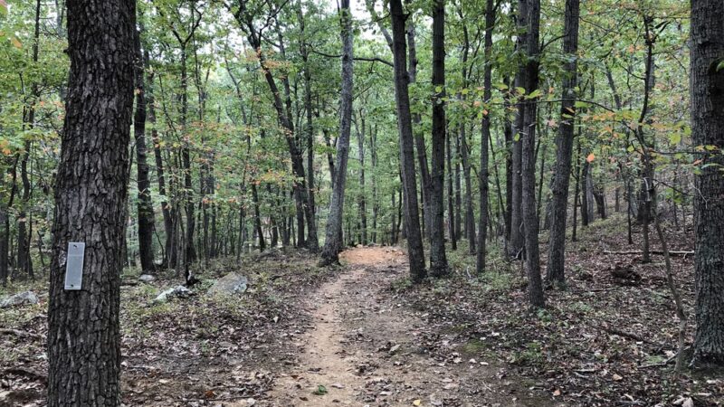 Lost Mountain - Upperville, VA