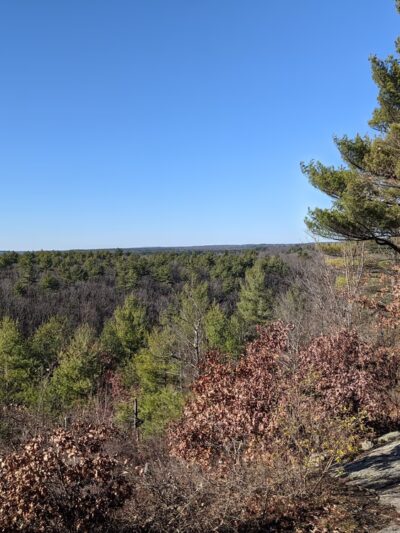 Peppercorn Hill Conservation Area - Upton, MA