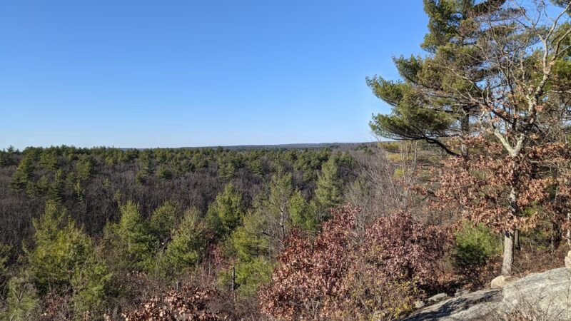 Peppercorn Hill Conservation Area - Upton, MA