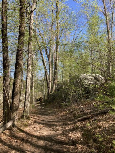 Peppercorn Hill Conservation Area - Upton, MA