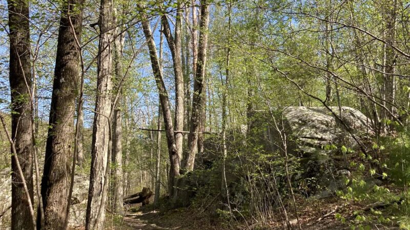 Peppercorn Hill Conservation Area - Upton, MA
