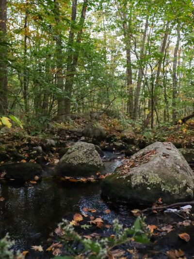 Peppercorn Hill Conservation Area - Upton, MA