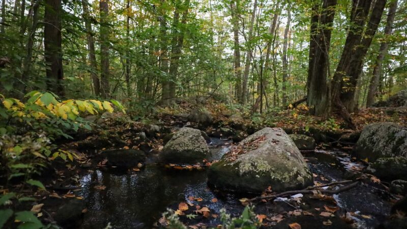 Peppercorn Hill Conservation Area - Upton, MA