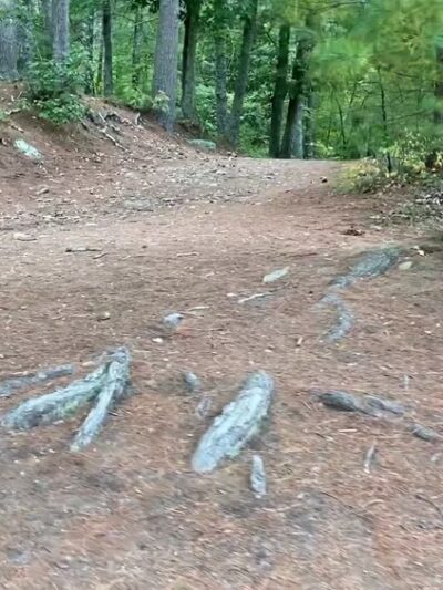 Upton State Forest - Upton, MA