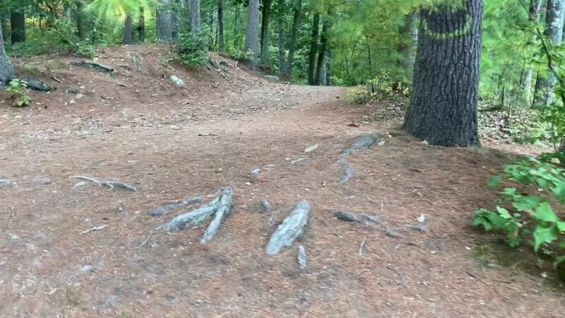 Upton State Forest - Upton, MA