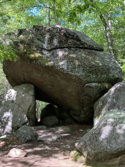 Upton State Forest - Upton, MA