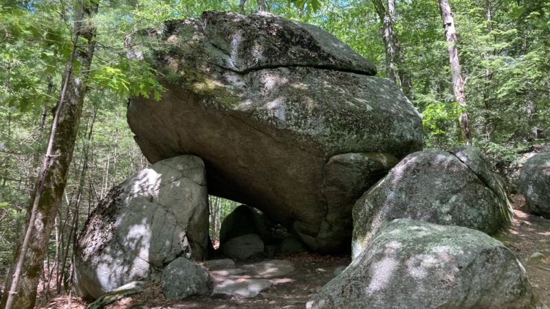 Upton State Forest - Upton, MA