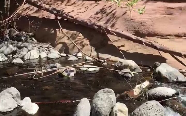 Wet Beaver Creek - US, AZ