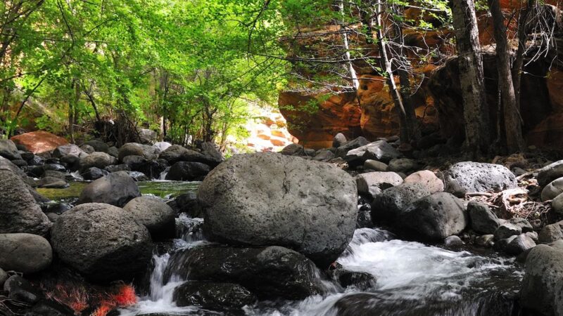 Wet Beaver Creek - US, AZ