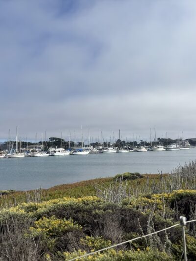 Moss Landing State Beach - US, CA