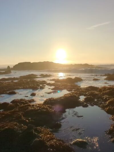 Pescadero State Beach - US, CA