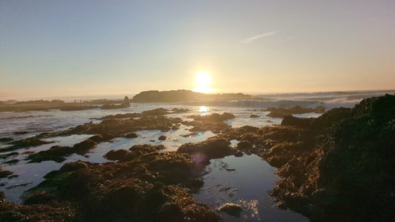 Pescadero State Beach - US, CA