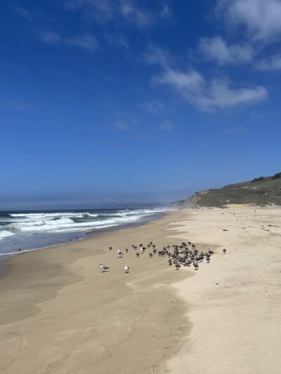 Pescadero State Beach - US, CA