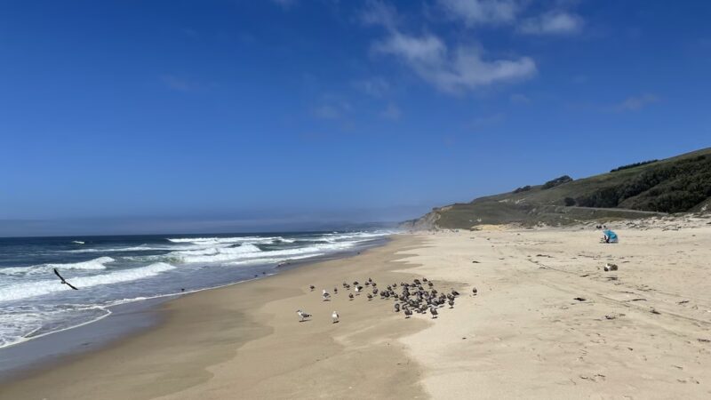 Pescadero State Beach - US, CA