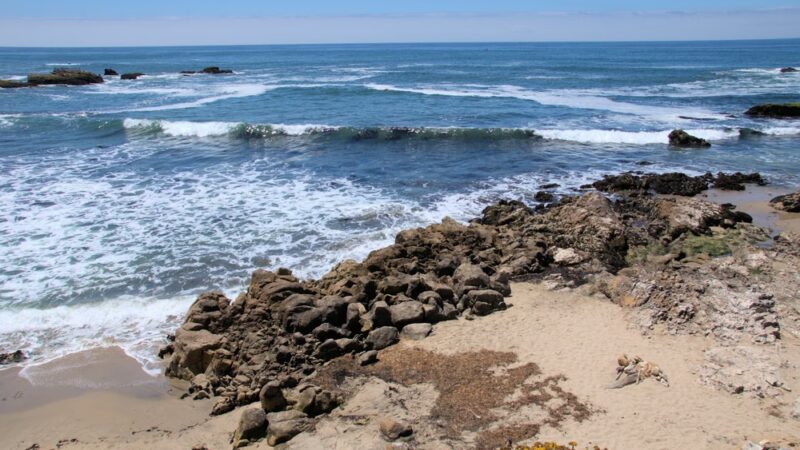 Pescadero State Beach - US, CA