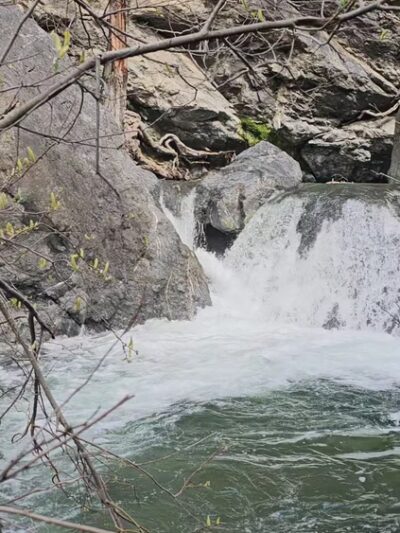 Pfeiffer Big Sur State Park - US, CA
