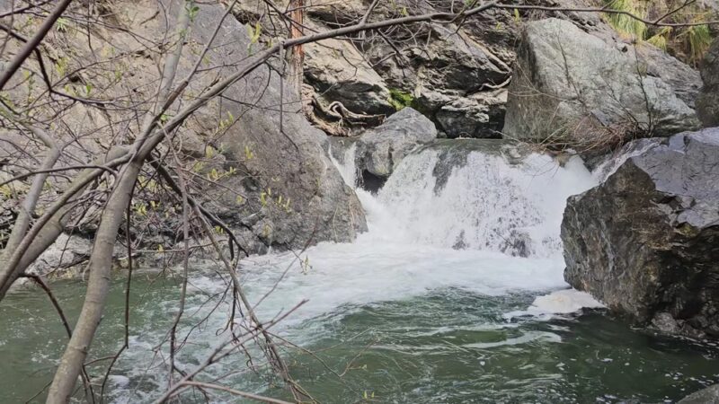 Pfeiffer Big Sur State Park - US, CA