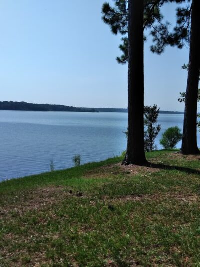 Arkabutla Lake - US, MS