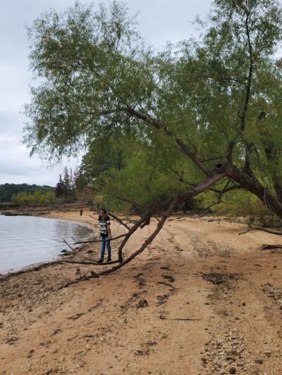 Arkabutla Lake - US, MS